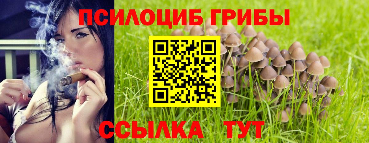 Псилоцибиновые грибы Psilocybe  Вход с VPN  Домодедово 